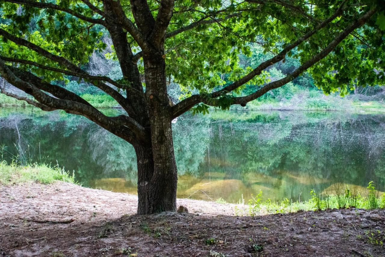 Quinta Da Lontra Villa ตาบัว ภายนอก รูปภาพ